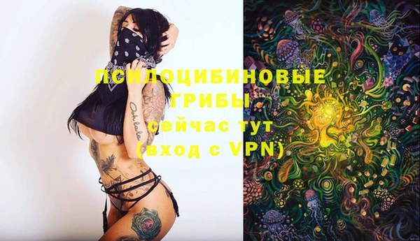 хмурый Абаза