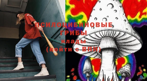 PSILOCYBIN Абинск
