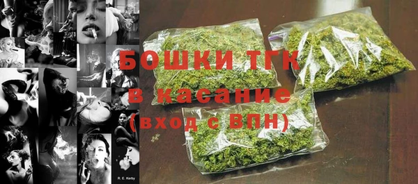 индика Абдулино