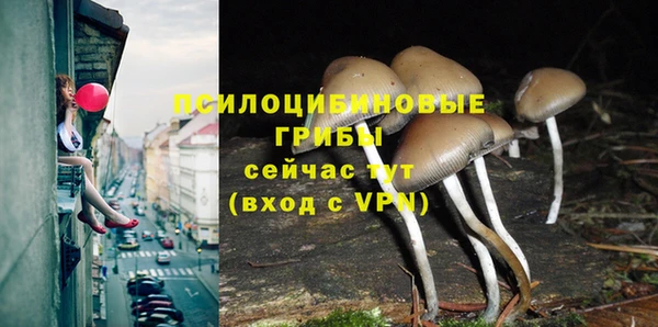 хмурый Абаза