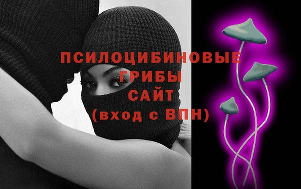 PSILOCYBIN Абинск
