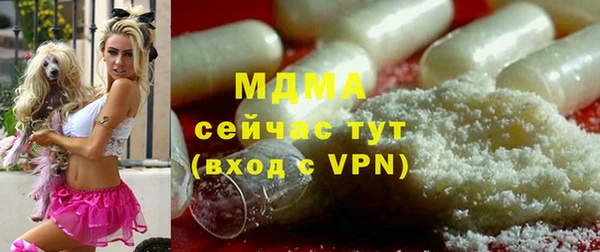 хмурый Абаза