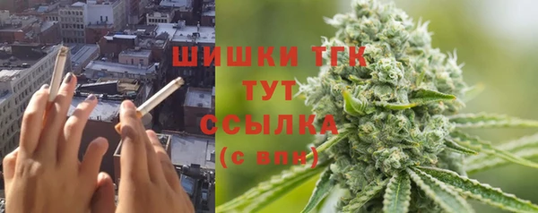 индика Абдулино