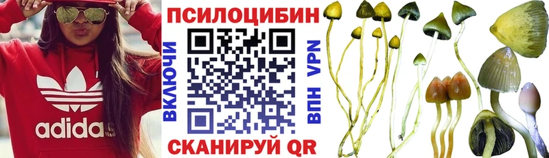 Псилоцибиновые грибы мицелий kraken ONION Сольцы
